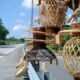 Assam tourism images : Summer season in Assam
